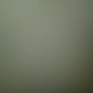 Meet your Posher, Lili